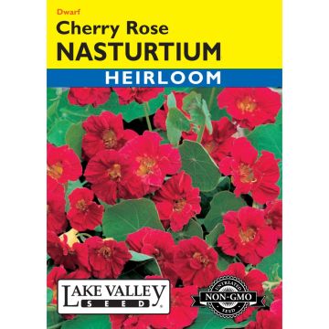 Tropaeolum, Dwarf Nasturtium 'Cherry Rose' Heirloom