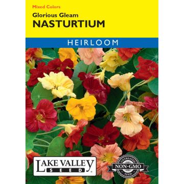 Tropaeolum, Nasturtium 'Glorious Gleam' Mixed Colors