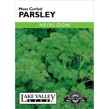 Petroselinum, Parsley 'Moss Curled'