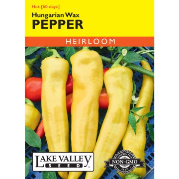 Capsicum, Pepper Hot 'Hungarian Wax'