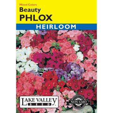 Phlox, Annual 'Beauty' Mixed Colors