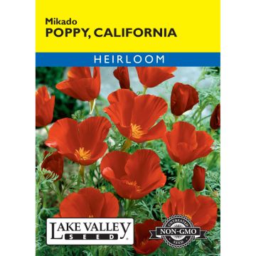 Eschscholzia, California Poppy 'Mikado'