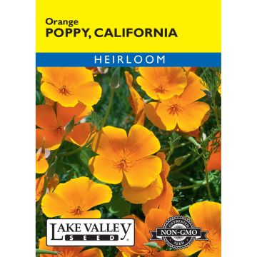 Eschscholzia, California Poppy 'Orange'