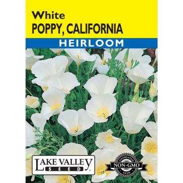 Eschscholzia, California Poppy 'White'