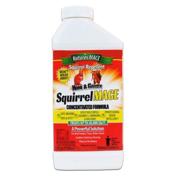 Squirrel MACE Squirrel Repellent, Concerntrate Liquid, 40 oz
