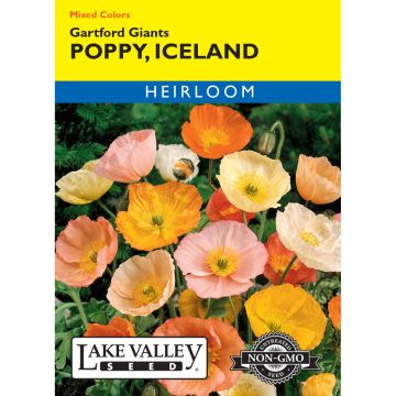 Papaver, Iceland Poppy 'Gartford Giants' Mixed Colors