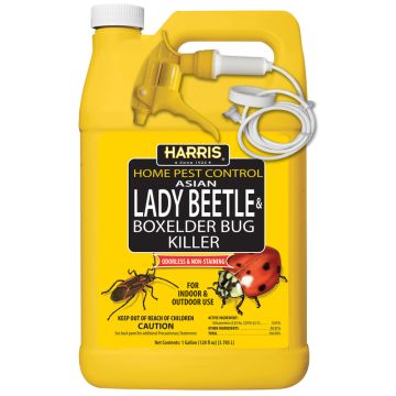 Harris Home Pest Lady Beetle & Boxelder Control Insect Killer Ready-to-Use 1 gal