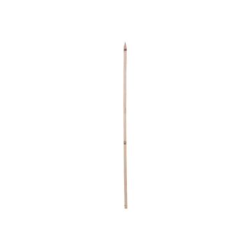 Green Thumb Wood Garden Stake, 3 Ft.