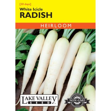 Raphanus, Radish 'White Icicle'