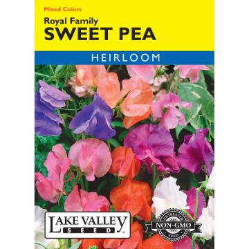 Lathyrus, Sweet Pea 'Royal Family' Mixed Colors