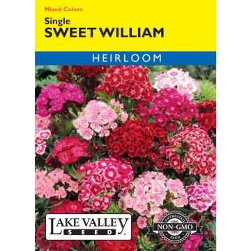Dianthus, Sweet William Mix 'Single' Heirloom