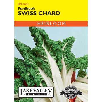 Beta, Swiss Chard 'Fordhook' Heirloom