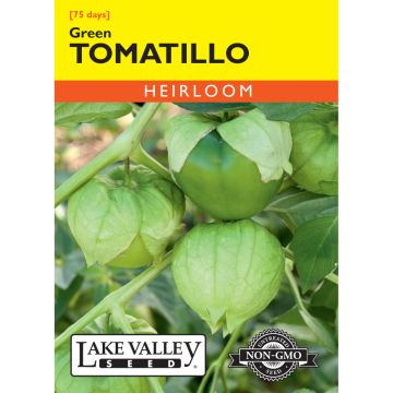 Physalis, Tomatillo 'Green'