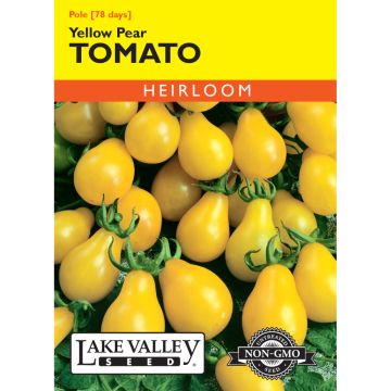 Solanum, Tomato (Pole) 'Yellow Pear'