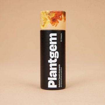 Amaranthus Mix 'Autumn Touch' ~ 30 seeds