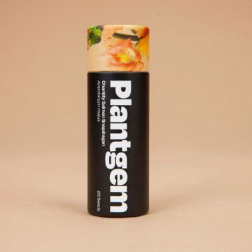 Antirrhinum, Snapdragon 'Chantilly Salmon' ~ 50 seeds