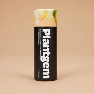 Antirrhinum, Snapdragon 'Potomac Appleblossom' ~ 50 seeds