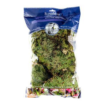 SuperMoss Preserved Royal Pool Moss