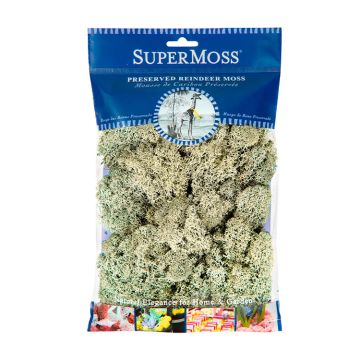 Reindeer Moss, Moss Green, 2 oz.