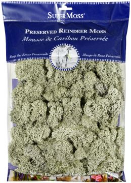 Reindeer Moss, Moss Green, 8 oz.