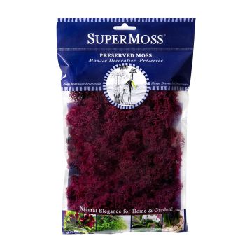 Reindeer Moss, Wine, 2 oz.