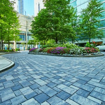 COUNTY H2O Pro® Paver Bricks 4"x8"