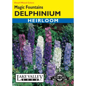 Delphinium, Dwarf 'Magic Fountains' Mixed Colors