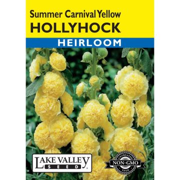Alcea, Hollyhock 'Summer Carnival Yellow' Heirloom