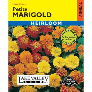 Tagetes, French Marigold 'Petite' Mixed Colors Value Pack