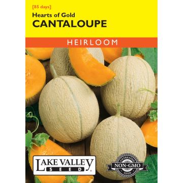 Cucumis, Cantaloupe 'Hearts of Gold' Heirloom