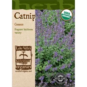 Nepeta, Catnip Organic Heirloom