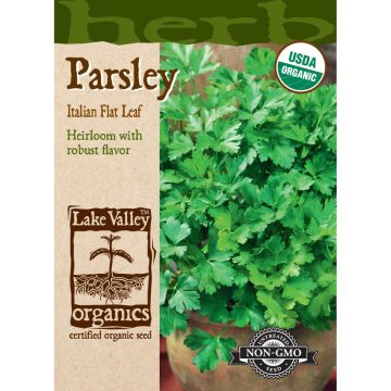 Petroselinum, Parsley 'Italian Flat Leaf'
