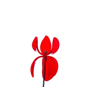 FLOWER  6 RED