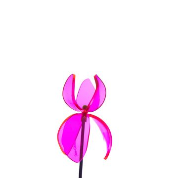 Sun Glowz Pink Fluorescent Sunbow Flower, 12" tall