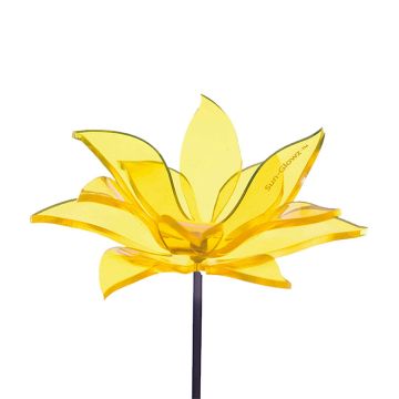 Sun Glowz Yellow Fluorescent Sundrop Flower, 18" Tall