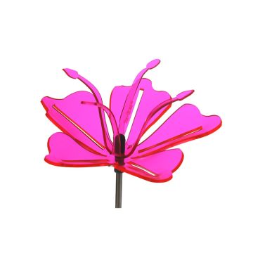 Sun-Glowz Pink Sunbeam Flower