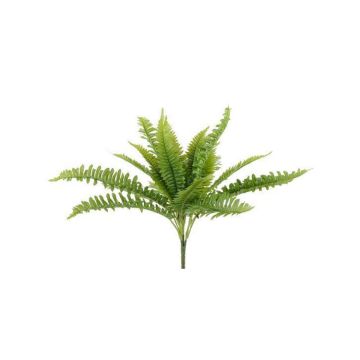 A&B Floral Boston Fern Bush