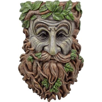 Arcadia Garden, Faces of The Forest Whimsical Tree Face Planter Elderberry