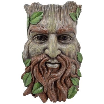 Arcadia Garden, Faces of The Forest Whimsical Tree Face Planter Hawthorn