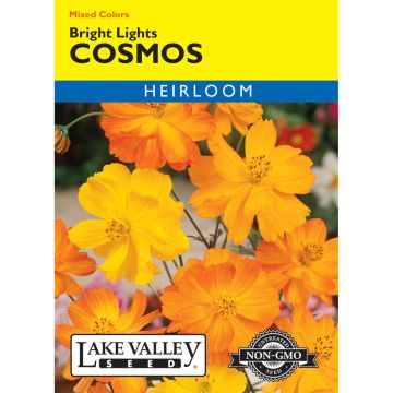 Cosmos 'Bright Lights' Mixed Colors