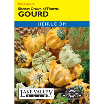 Cucurbita, Gourd 'Shenot Crown of Thorns'