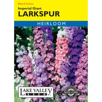 Consolida, Larkspur 'Imperial Giant' Mixed Colors