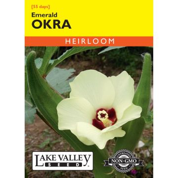 Abelmoschus, Okra 'Emerald' Heirloom