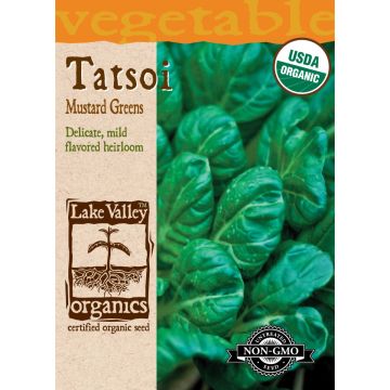 Brassica, Mustard Greens 'Tatsoi' Organic Heirloom