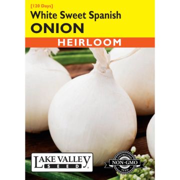 Allium, Onion White 'Sweet Spanish' (Long Day)