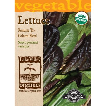 Lactuca, Lettuce 'Gourmet Salad Blend'