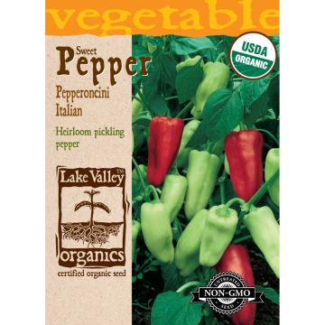 Capsicum, Pepper Sweet 'Pepperoncini Italian'