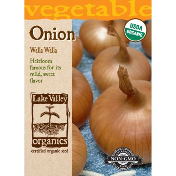 Allium, Onion 'Walla Walla' Sweet (Long Day)