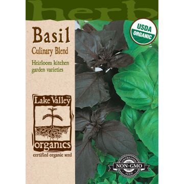 Ocimum, Basil 'Culinary Blend' Organic Heirloom
