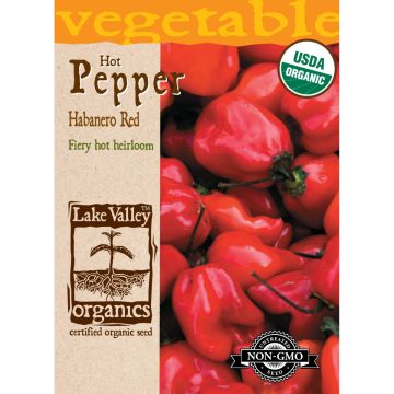 Capsicum, Hot Pepper 'Habanero' Organic Heirloom